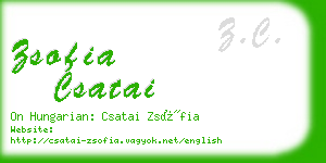 zsofia csatai business card